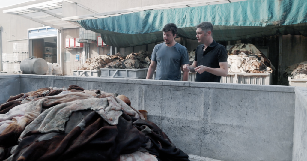 Leatherschool, raw hides in container